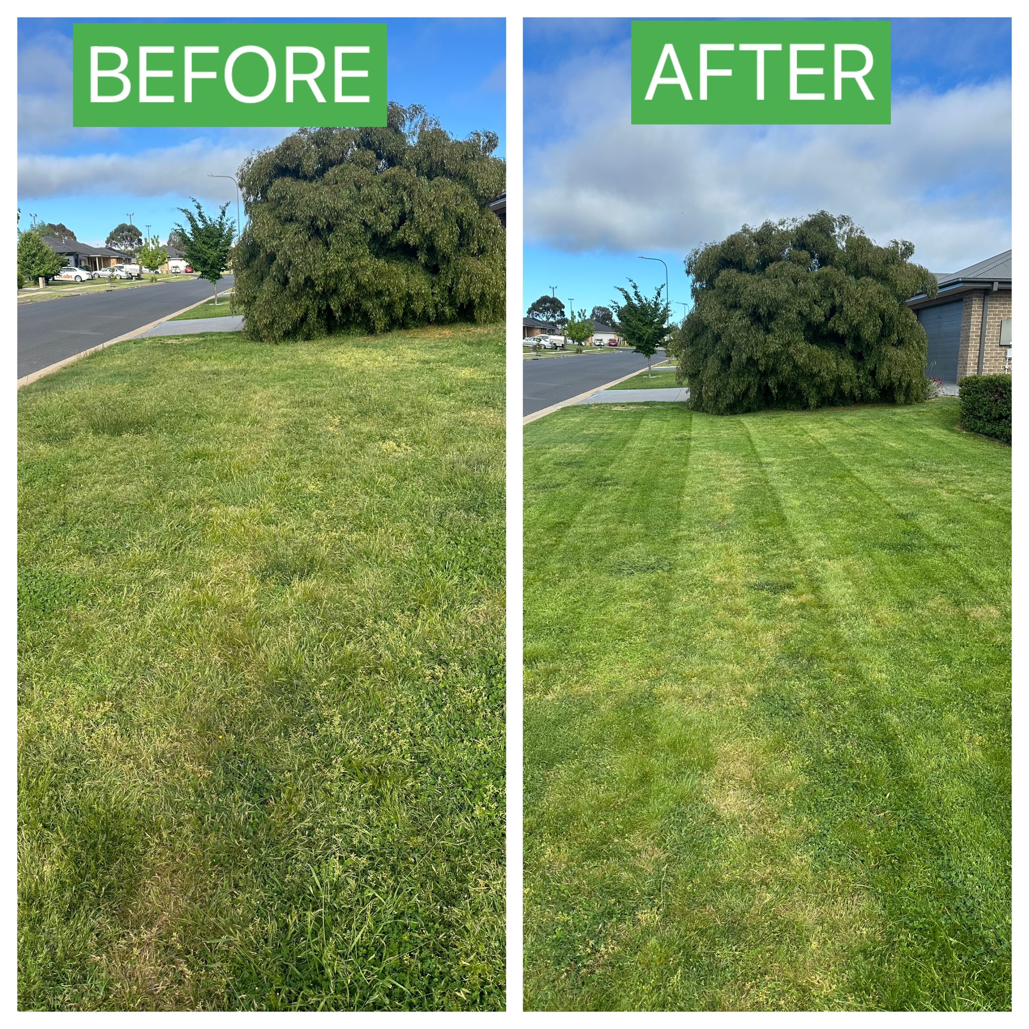 Before and after: Front Yard Mow & Tidy