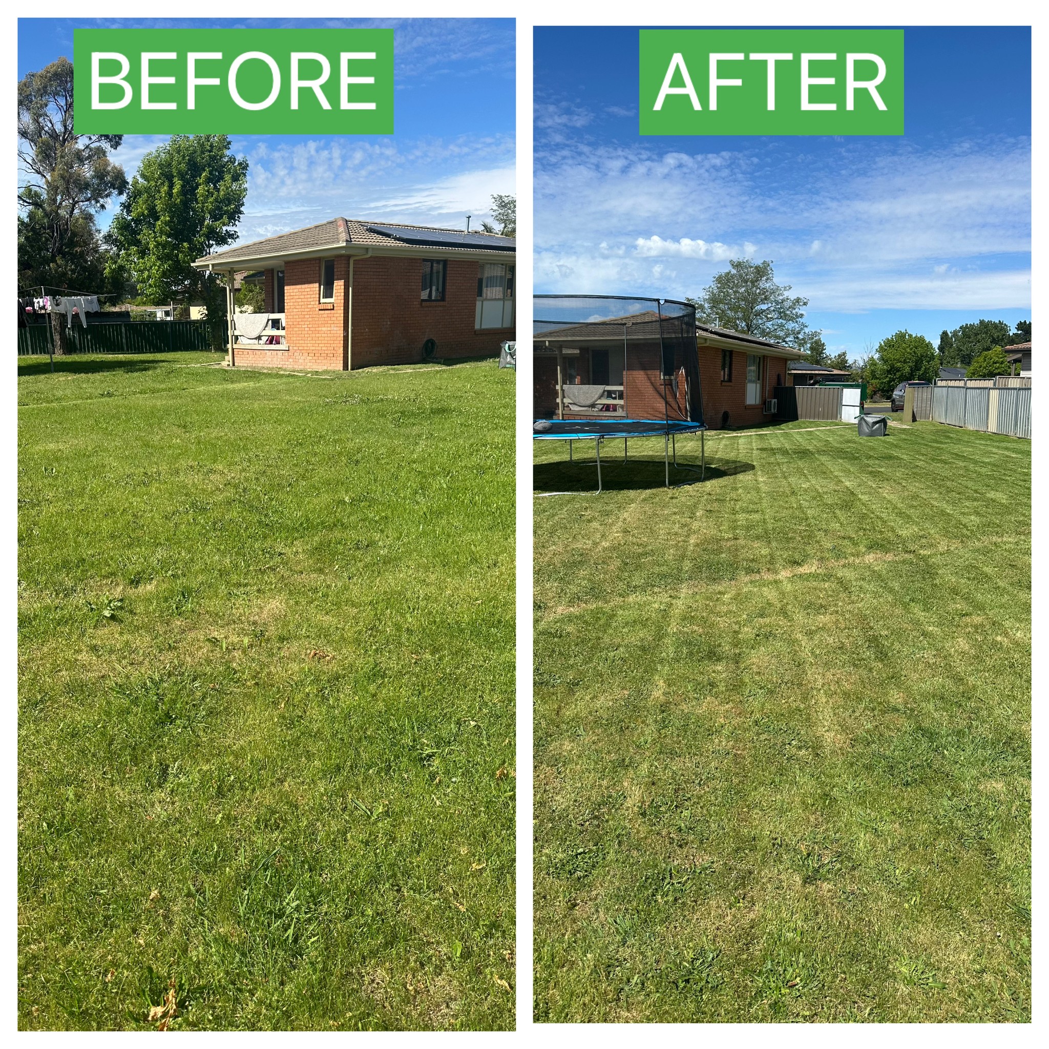 Before and after: Backyard Lawn Rescue