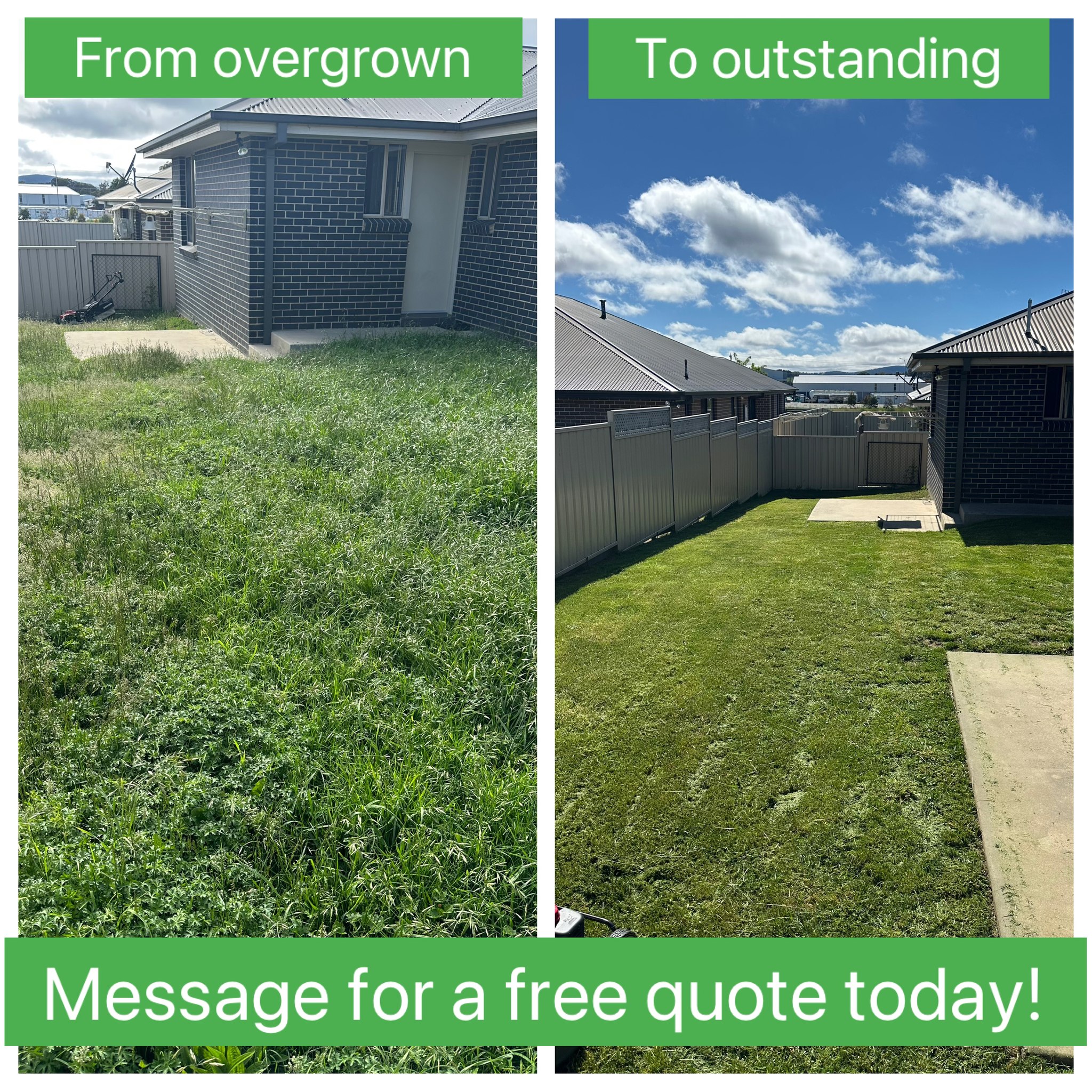 Before and after: Overgrown to Outstanding